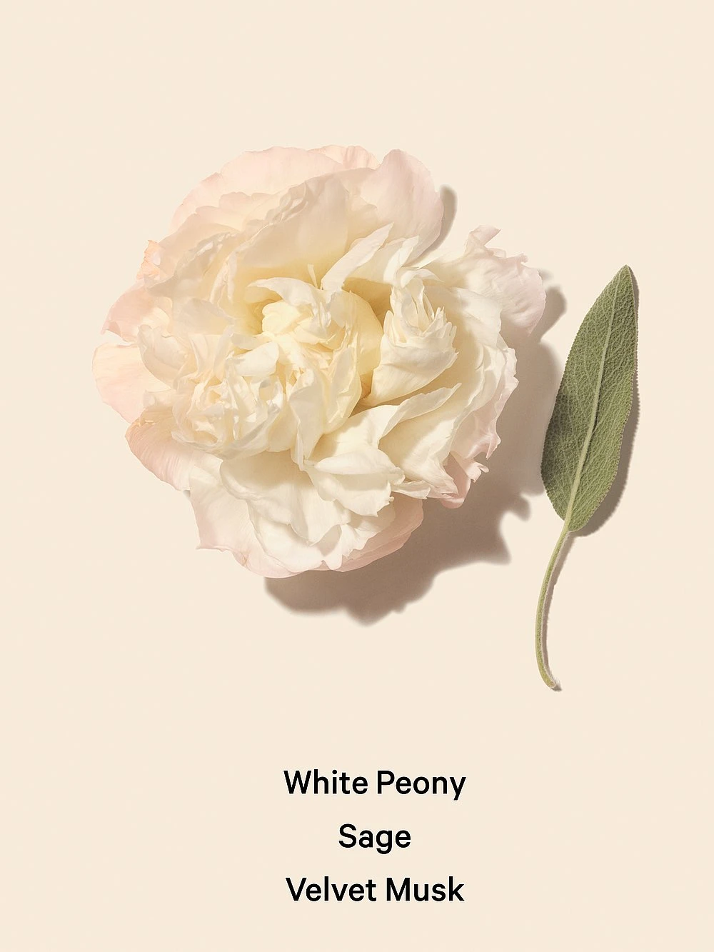 Bombshell Seduction Eau De Parfum 9 Bombshell Seduction Eau De Parfum - Image 7