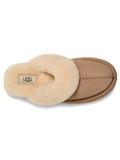 Ugg Disquette Slipper -Sexy Underwear Shop 1119272232H2 OF DET