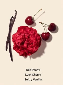 Fine Fragrance Travel Mist 31 Fine Fragrance Travel Mist -Sexy Underwear Shop 112109365170 alt1