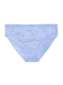 Smooth Lace High Cut Brief -Sexy Underwear Shop 1124122782L4 OF F