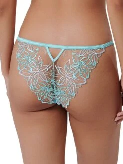 BLUEBELLA Lilly Brief Panty