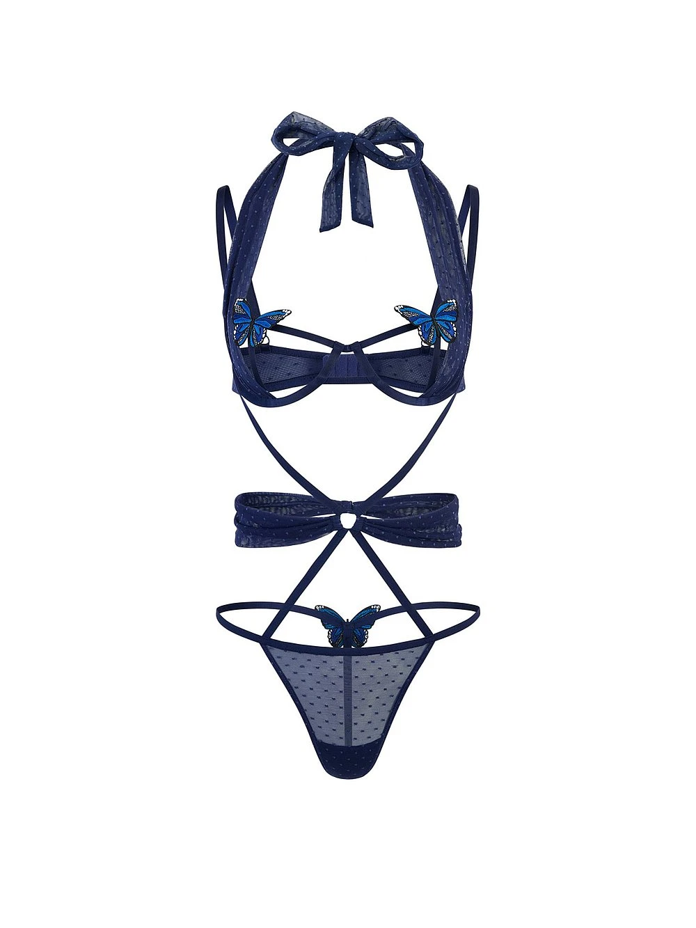 Coco Teddy 9 Coco Teddy - Image 7