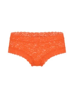 Eyelet Mesh Cheeky Panty -Sexy Underwear Shop 1125113900EE OF F