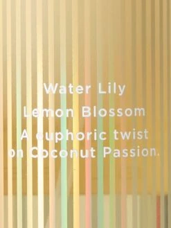 Fragrance Mist -Sexy Underwear Shop 112532236855 OF B