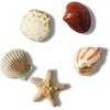 5-Pack Jibbitz She Sells Seashells Charms -Sexy Underwear Shop 1126124633H1 OM F
