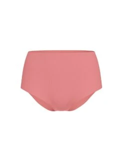 No-Show Lace High-Waist Brief Panty -Sexy Underwear Shop 112626620EDK OF F DGA 1