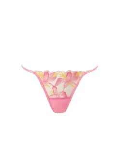 BLUEBELLA Patrice Brief 8 BLUEBELLA Patrice Brief -Sexy Underwear Shop 1126735272S1 OF F