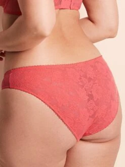 Leina Bikini Panty -Sexy Underwear Shop 1127634171S8 OM F